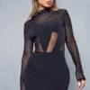 Mesh Panelled Bodycon Mini Dress